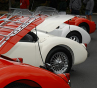 Photo of red and white MGs